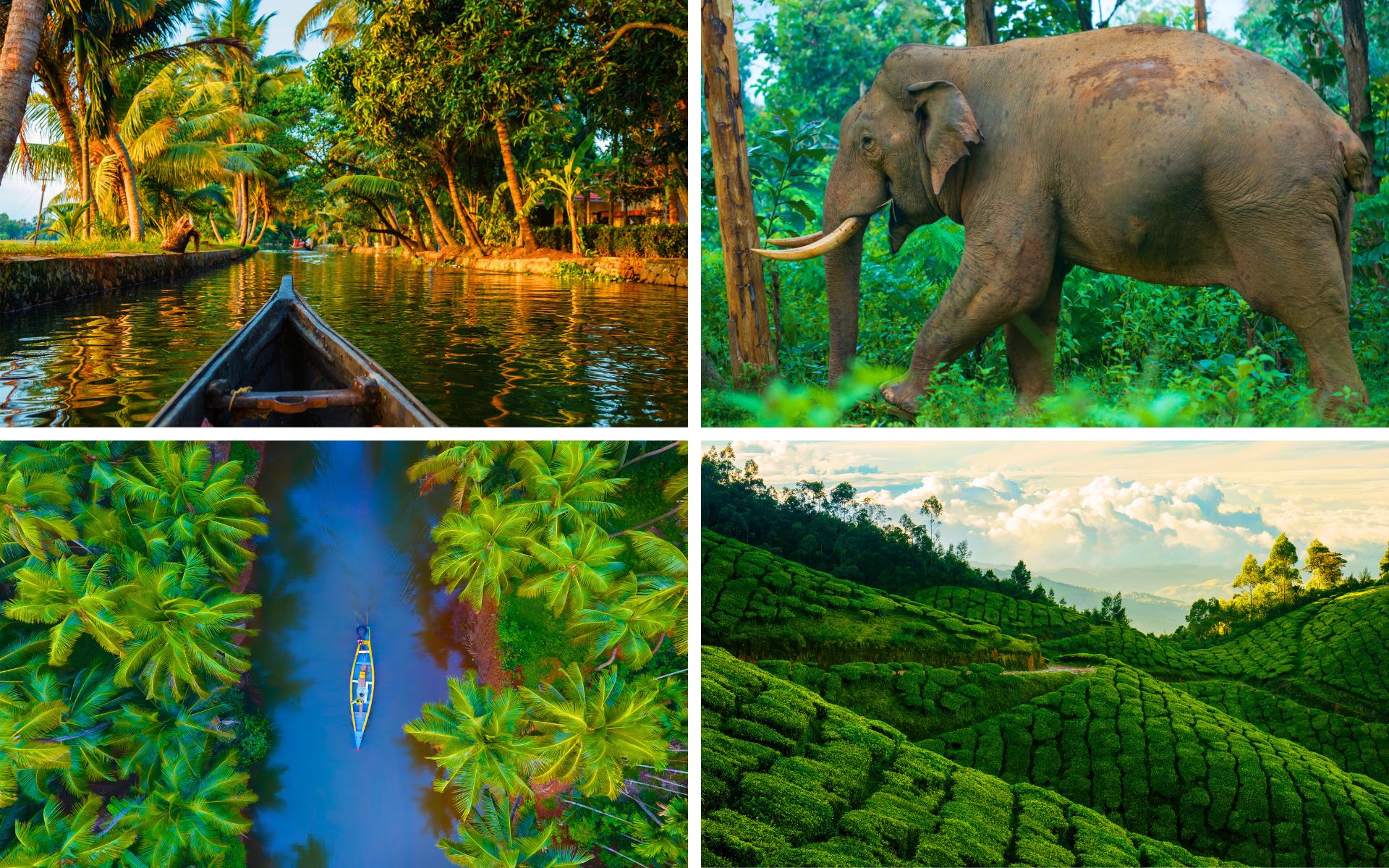 South India Kerala Explorer South India Kerala Explorer